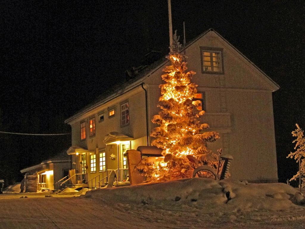 Sollia Lodge Kirkenes Exterior foto